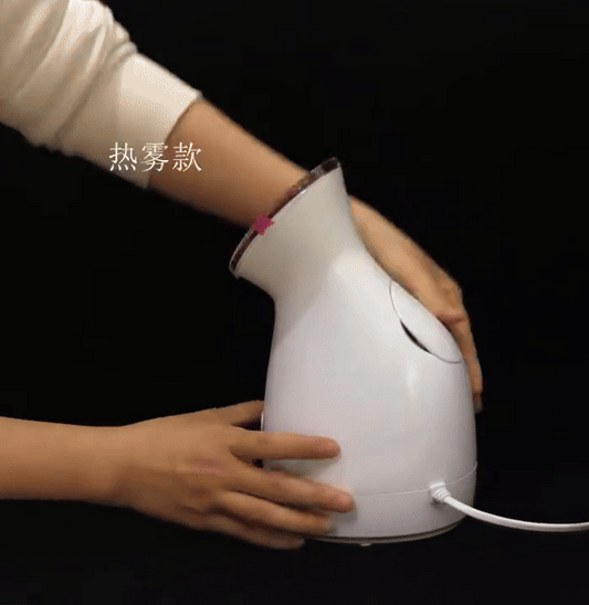 Nano Ionic Facial Steamer